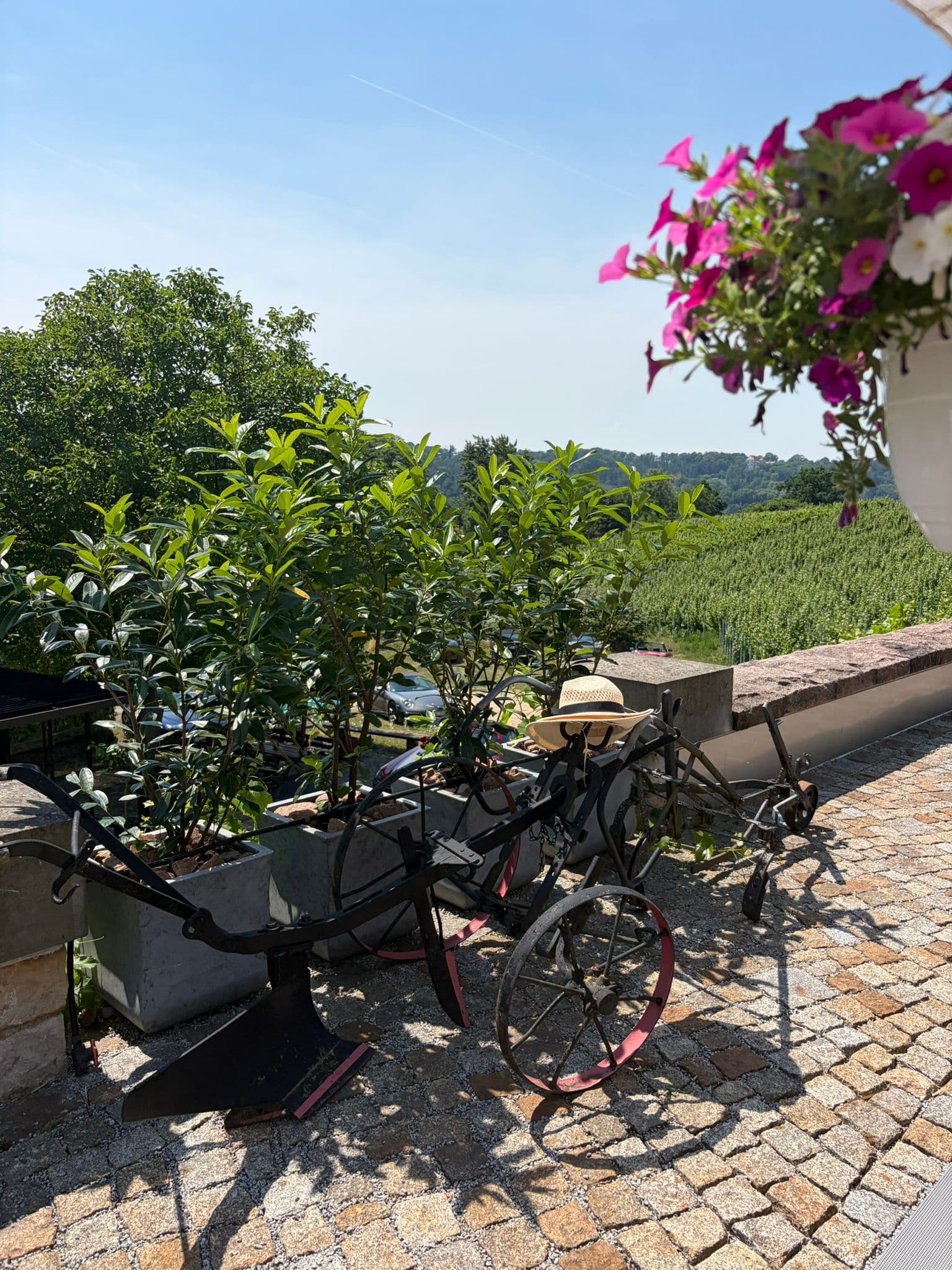 Sonntagsausfahrt Weingut Ricco Hänsch
